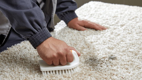 Professional Rug Cleaning Calder Park